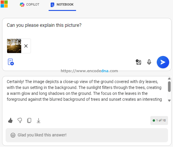 copilot notebook describing a picture