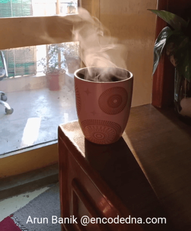 National Chai Day in India