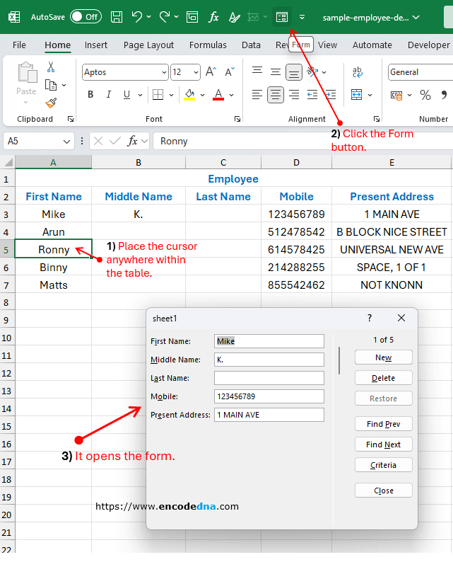 data entry form in excel