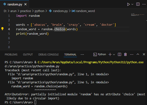 Python AttributeError: partially initialized module 'random' has no attribute 'choice'